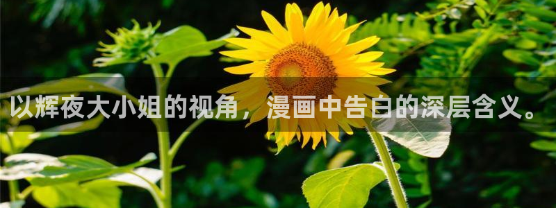 漫蛙防走失官网